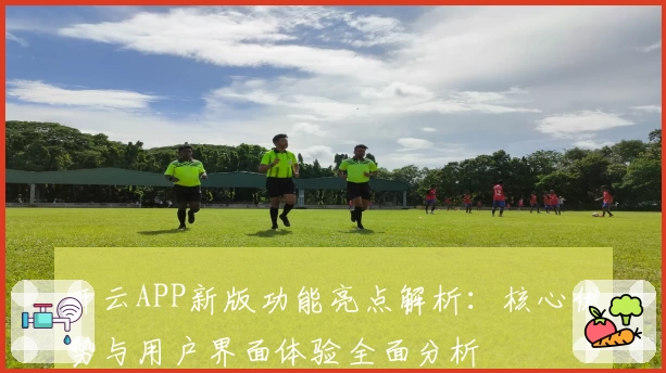 开云APP新版功能亮点解析：核心优势与用户界面体验全面分析