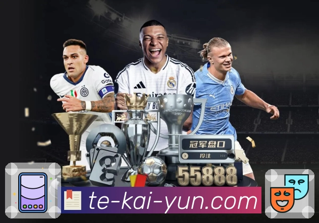 多媒体互动体验